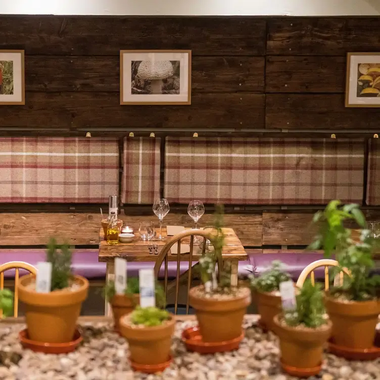 A pot plant display at Forage and Chatter, one of the best date night restaurants in Edinburgh.