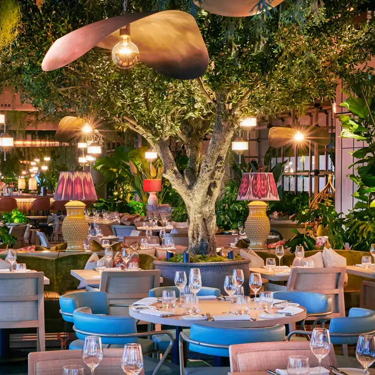 Restaurants interiors covered plants with a tree in the background at