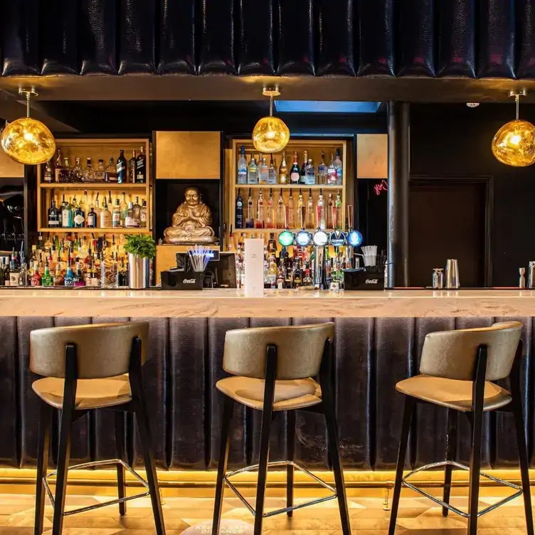 A long bar with high stools and bottles lined up on shelves at The Cardamom Club