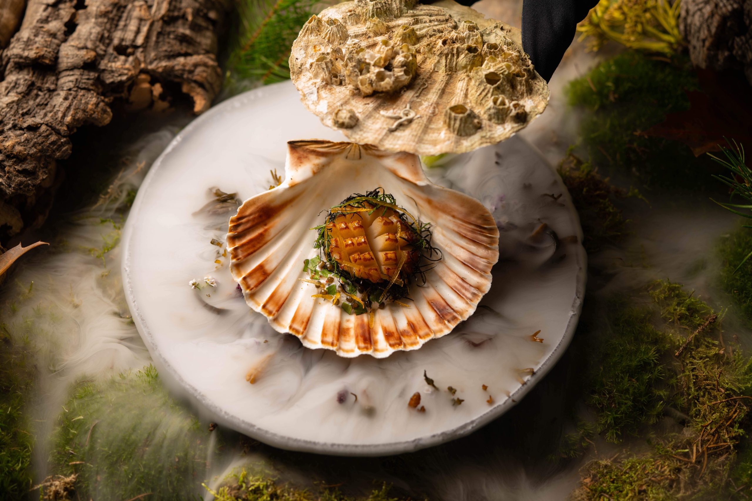 A scallop dish in a shell on a round plate covered in white smoke at Alain Ducasse at The Dorchester, a restaurant in London.