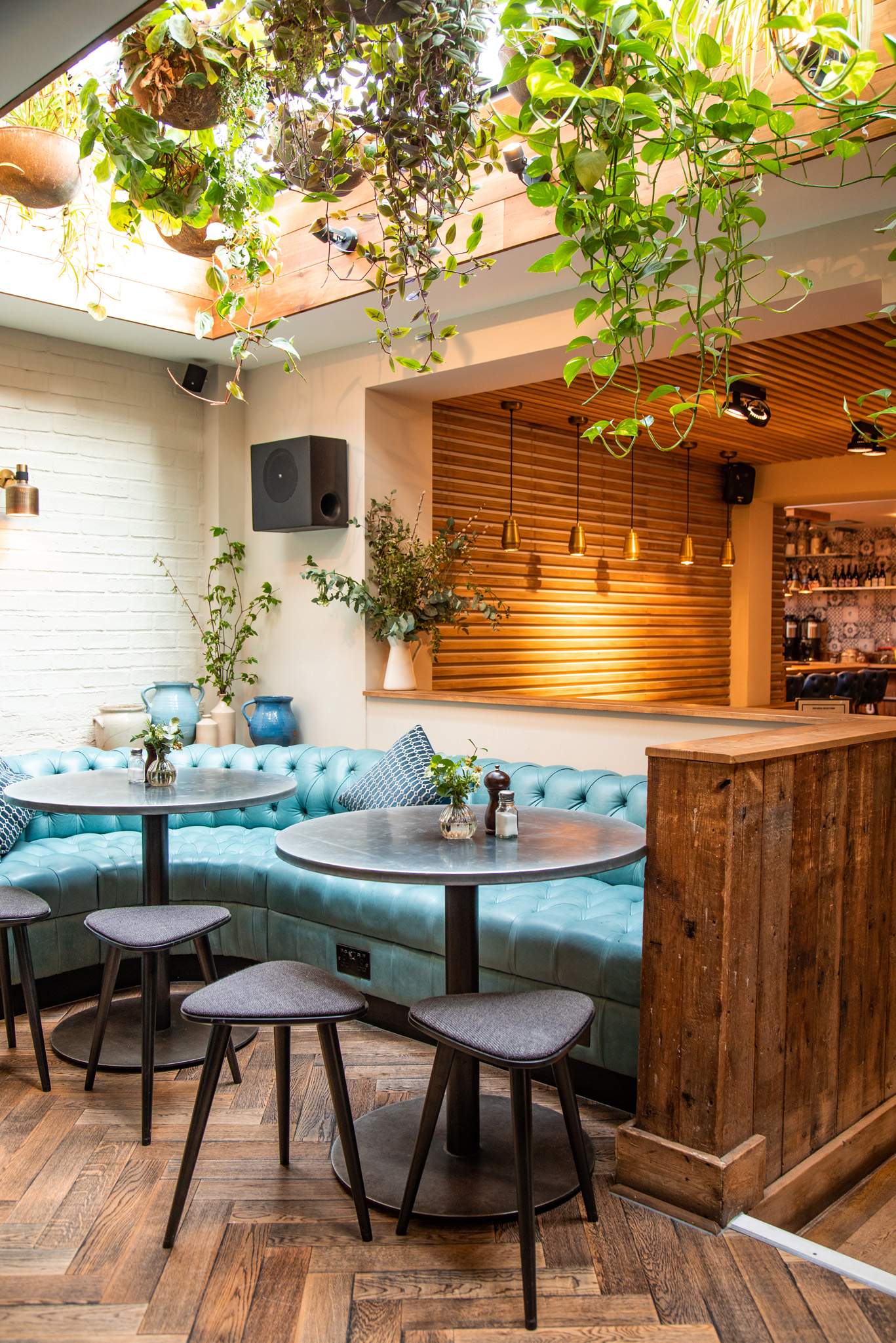 A blue leather banquette wraps around two tables in a dining room with hanging plants at The Plough in Birmingham.