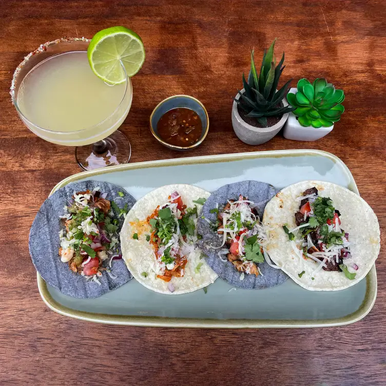 Four tacos and a margarita cocktail at Catalinas, one of the best dog-friendly restaurants in London