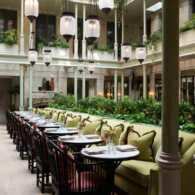 A long green sofa behind multiple round tables for two with chairs on the other side, surrounded by greenery at The NoMad London.