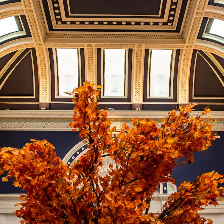 The atrium at Bianca di Roma, one of the best Italian restaurants in Glasgow city centre. Credit: Bianca di Roma