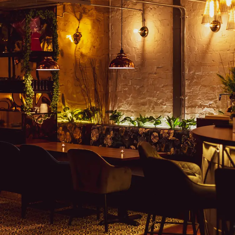 An ambient lit layout of Delhi House Cafe’s interior, one of the best Indian restaurants in Manchester. Credit: Delhi House Cafe