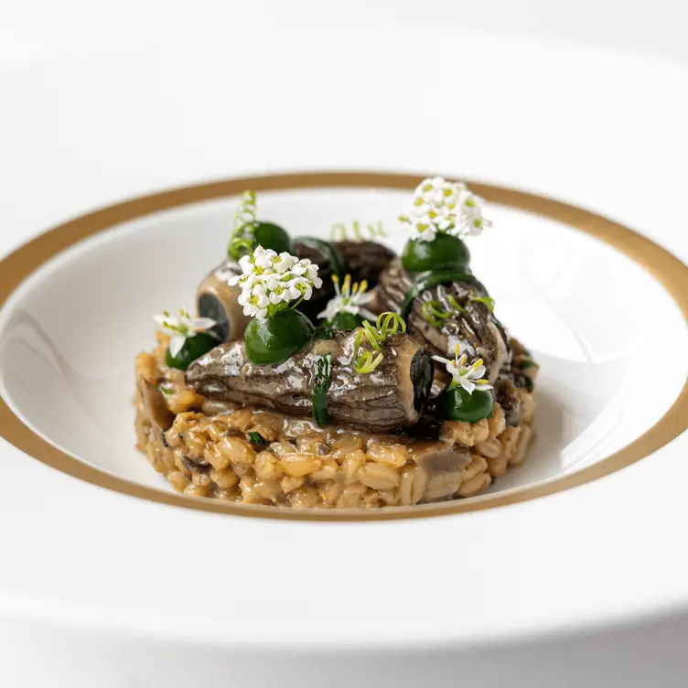 A rice dish at Petrus Gordon Ramsay, one of the best French restaurants in London