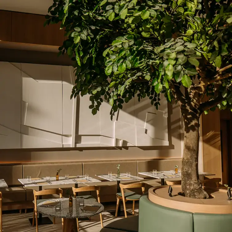 The sun shines through the modern interior of The Hazel, one of the best romantic restaurants in Glasgow.