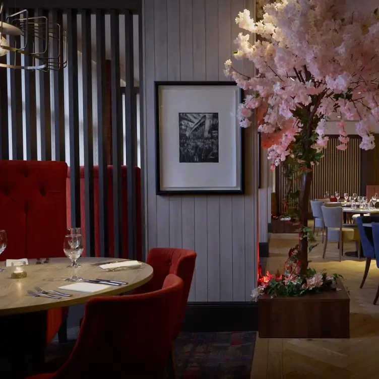 A large table next to black and white photograph on the wall and a cherry blossom tree at Cask and Clyde, in Glasgow.