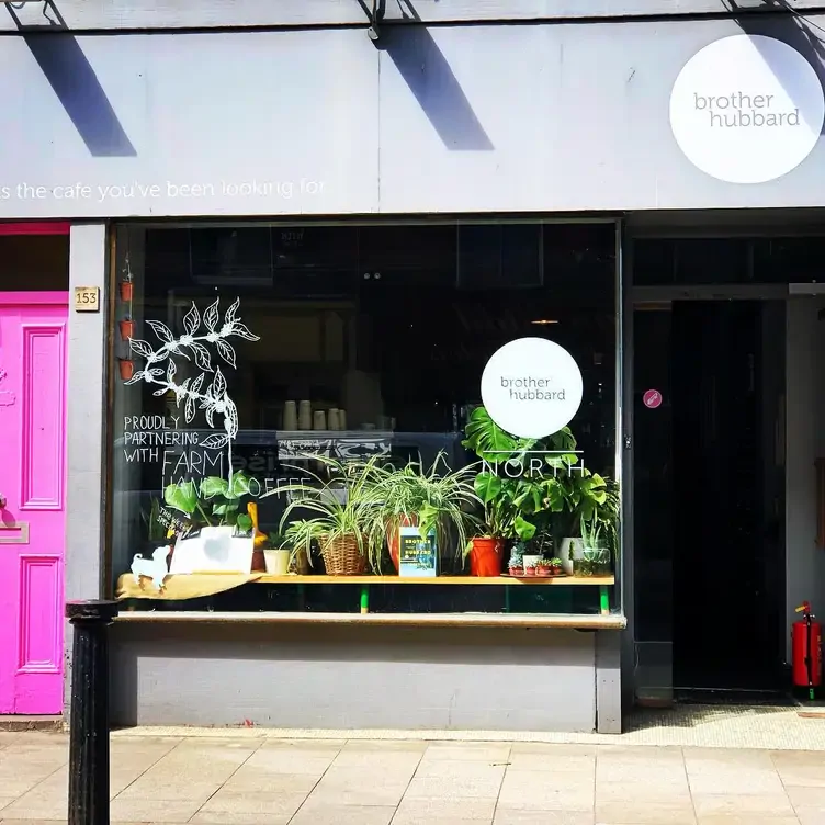 A pot plant display in the window at Brother Hubbard North, one of the best brunches in Dublin.