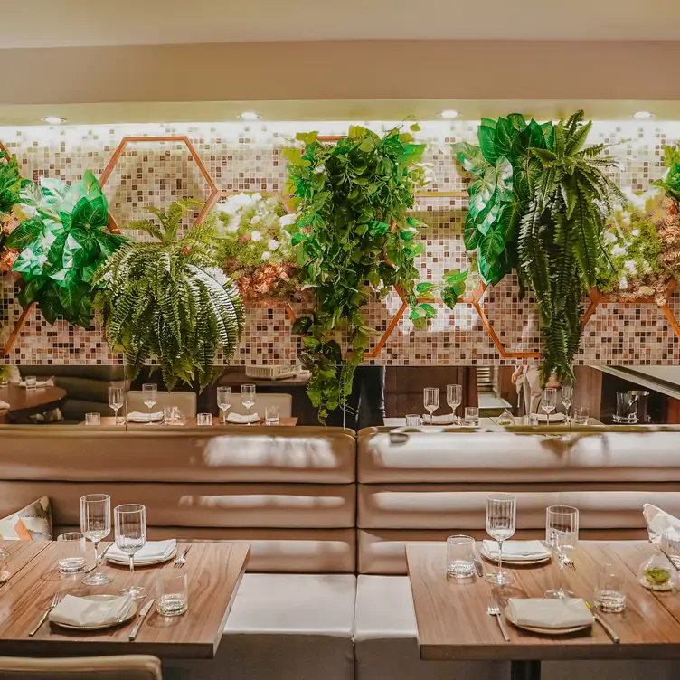 The interior of the restaurant filled with tables, chairs and plants at LayaLina, one of the best Lebanese restaurants in London.