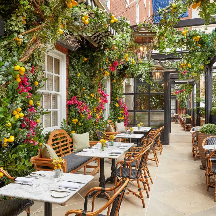 A flower-filled terrace with marble tables and plant-filled arches at Dalloway Terrace in London