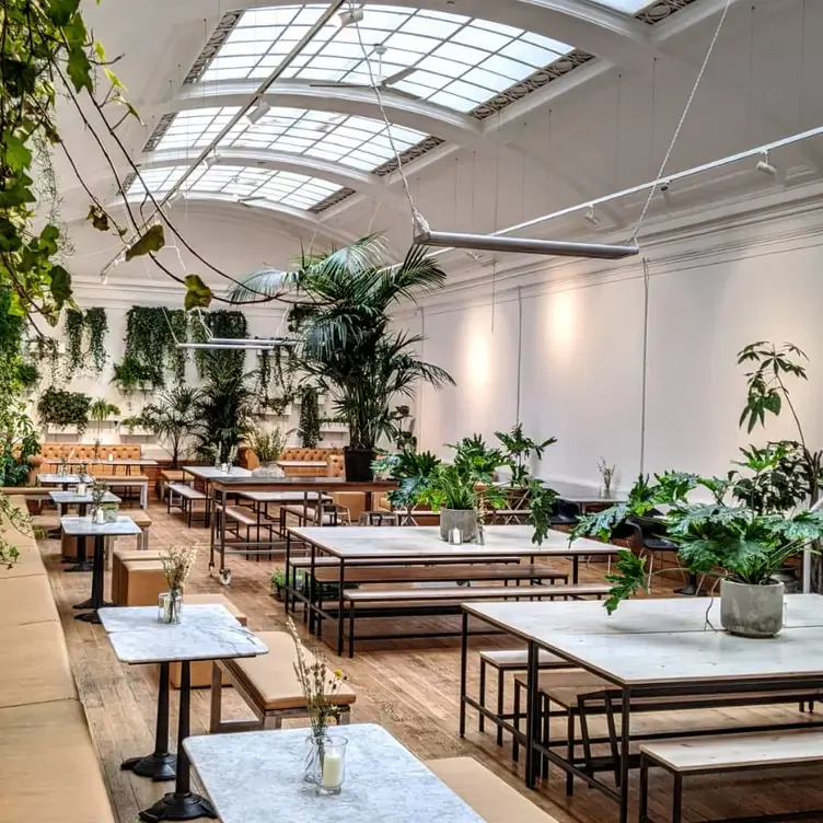 The white modern interior of Medicine Bakery’s dining room, one of the best brunch restaurants in Birmingham.