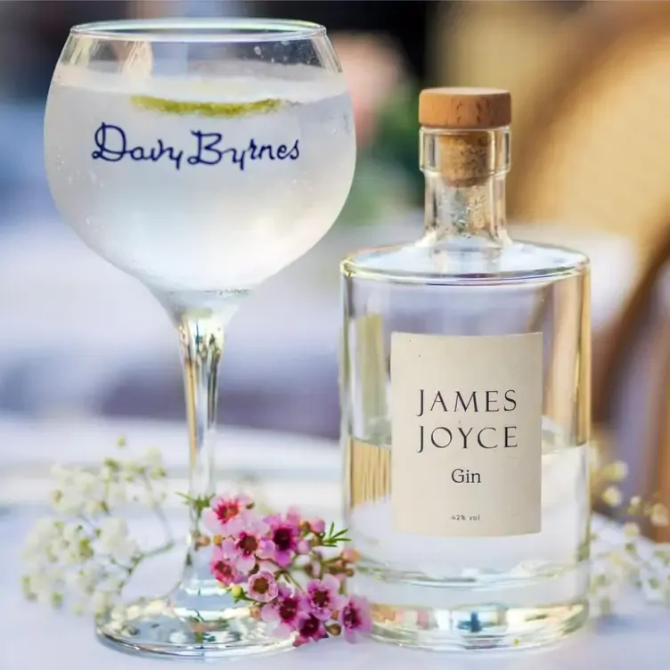 A martini served in a glass with Davy Byrnes’ logo on it. Next to it is a glass of James Joyce gin.