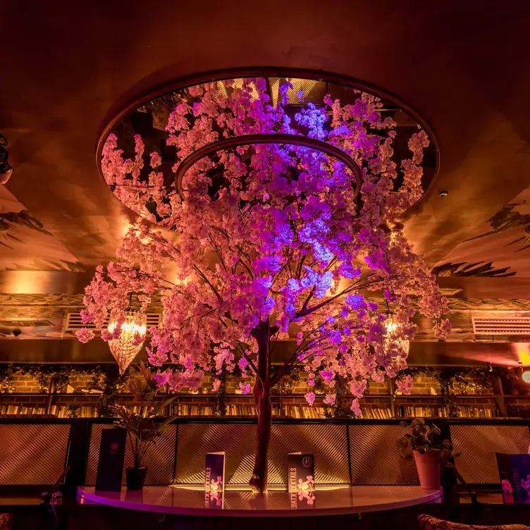 A large blossom tree stretches up to the ceiling at The Betsy Swords, one of the best pubs in Dublin.