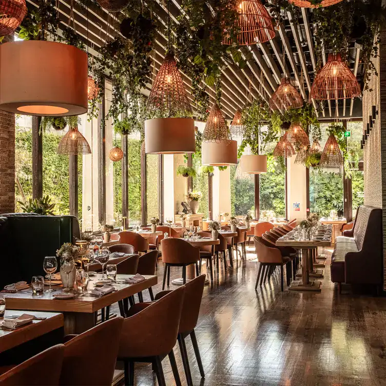 Restaurant area of Smith’s Bar & Grill, where you can get some of the best bottomless brunch in London, with a living ceiling.