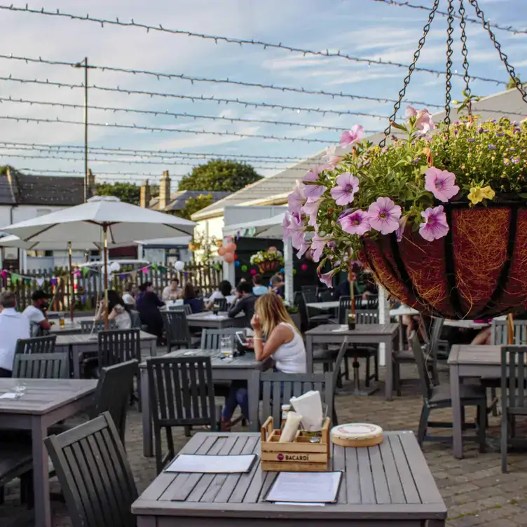 A hanging basket of pink flowers at The Clissold Arms, one of the best beer gardens in London.