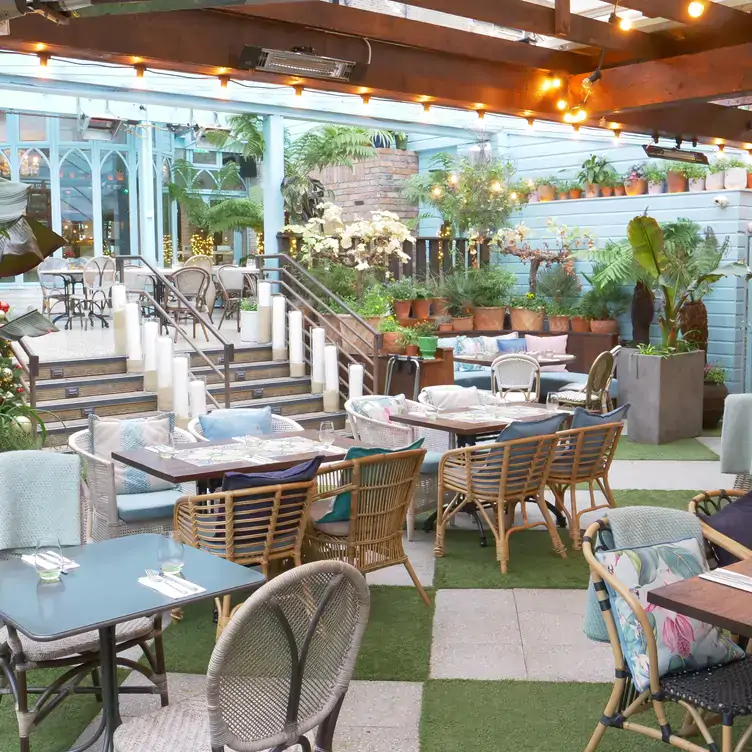 The garden dining area with plenty of potted plants and floral cushions at House Dublin, one of the best beer gardens in Dublin.