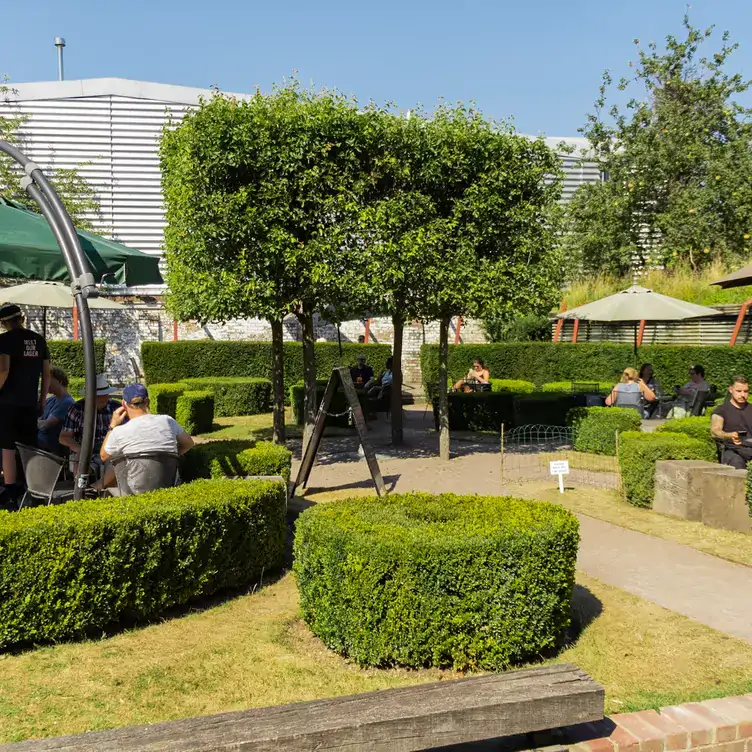 Trees and hedges in the beer garden at The Dolphin, one of the best beer gardens in London.