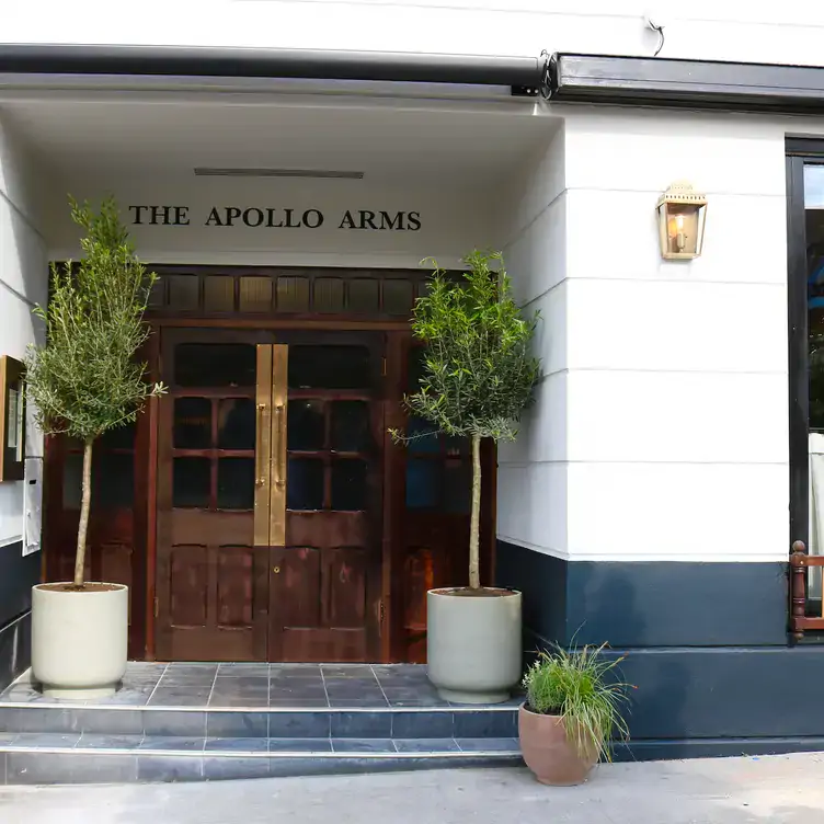 the-apollo-arms2