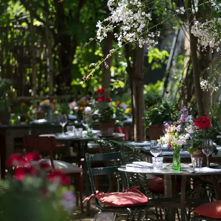 petersham-nurseries-restaurant-richmond3