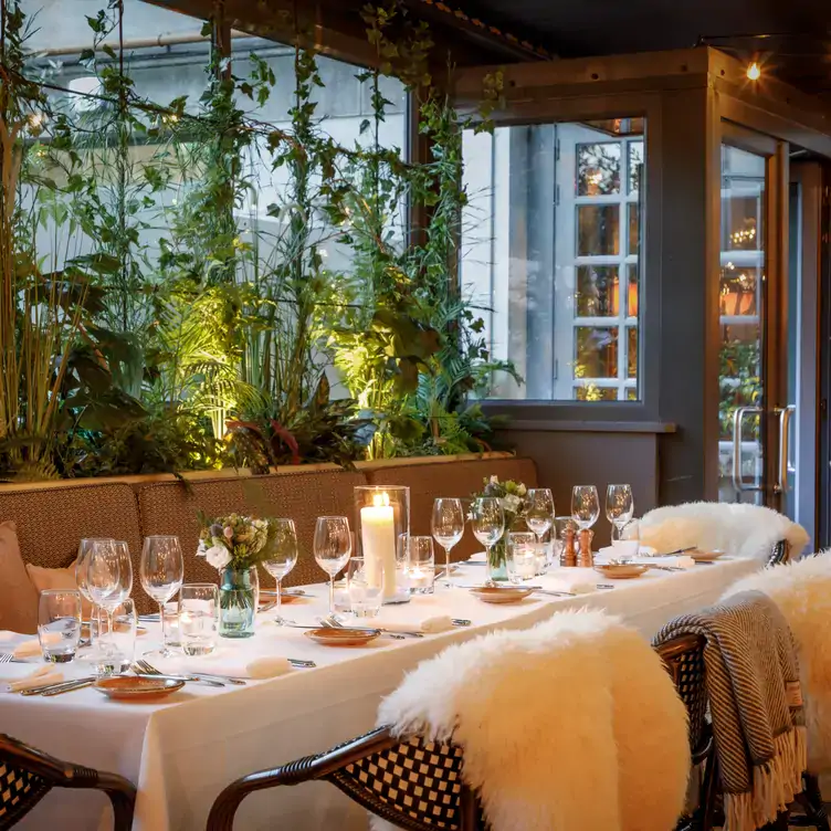 A long table set for dining at Suesey Street, one of the best restaurants for Christmas dinner, with plants along the window ledge behind.