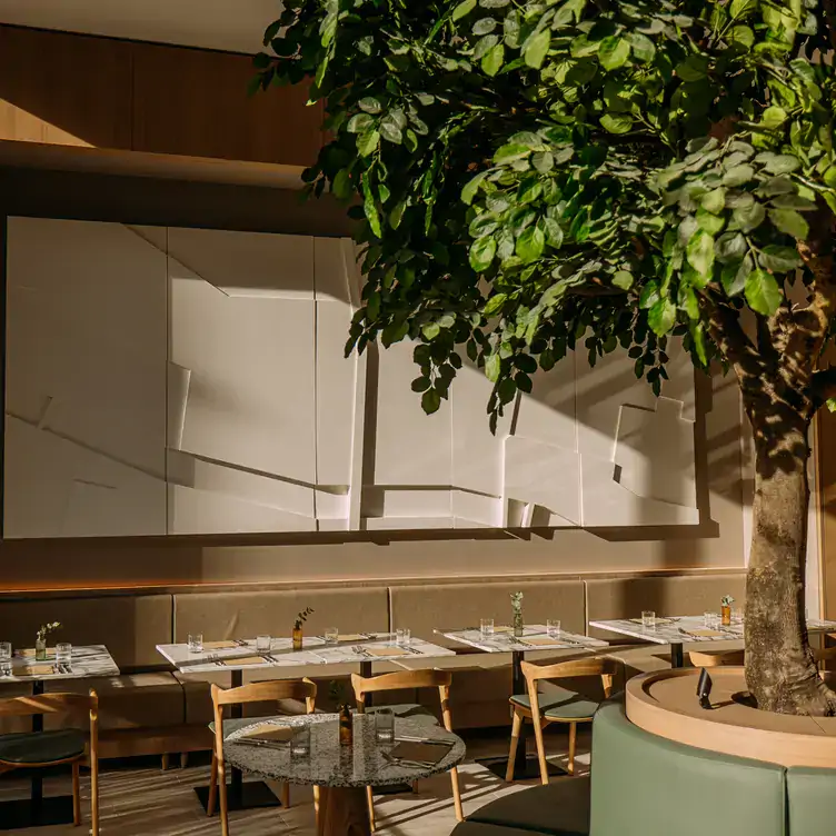 The serene interiors of Hazel, featuring modern furnishings and a vibrant tree centerpiece